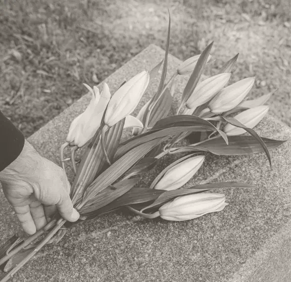 Precios Servicios Funerarios